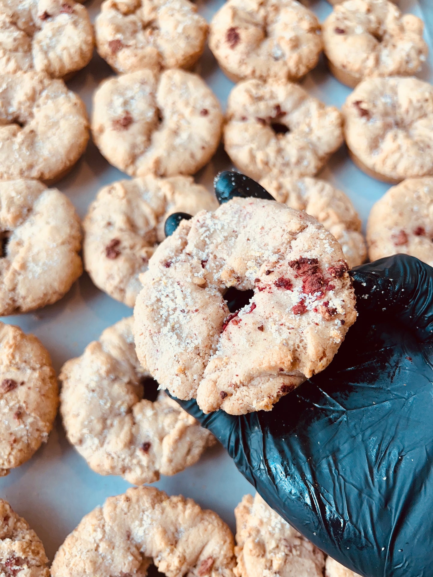 Vegan OLemonBerryO