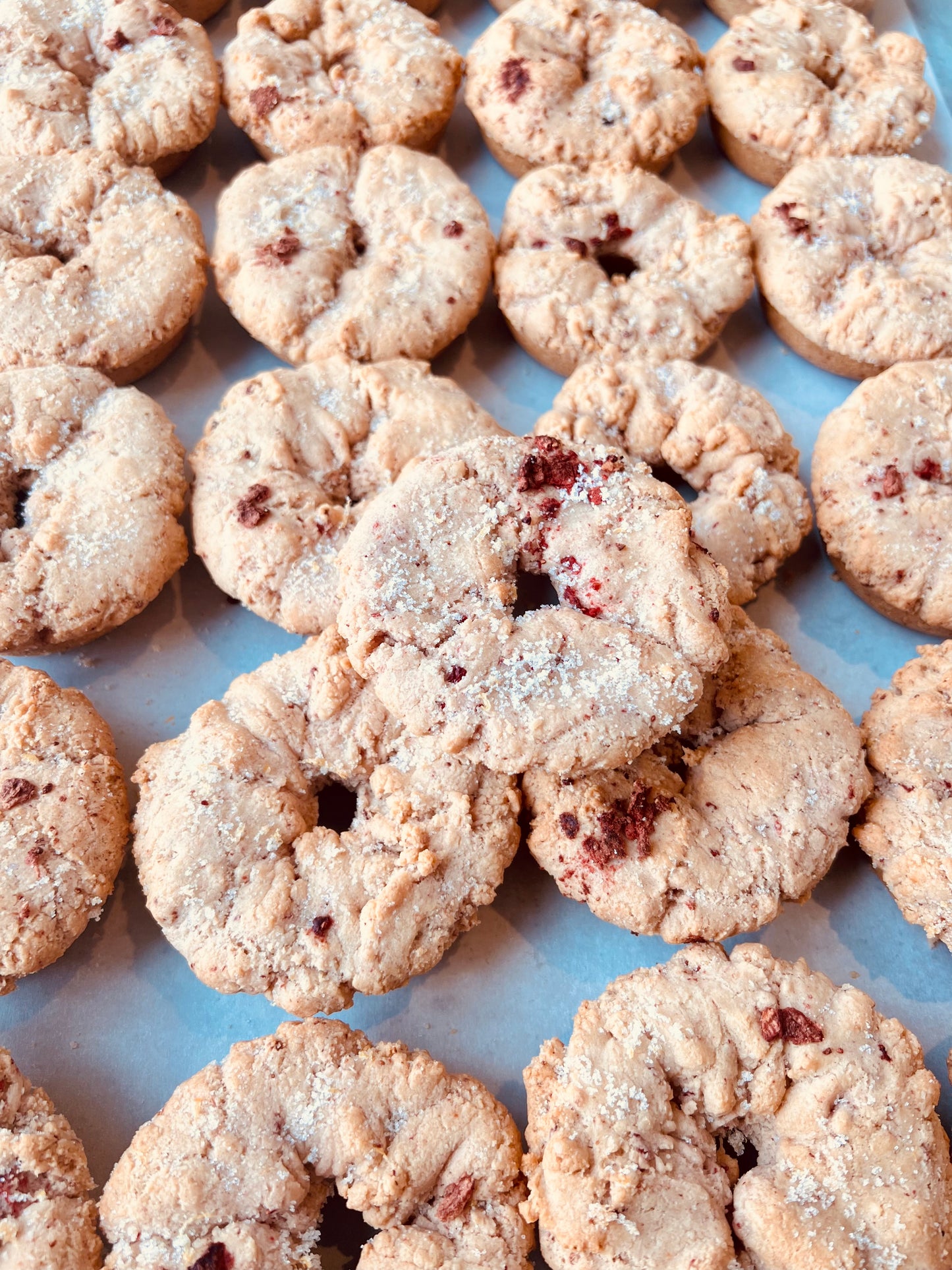 Vegan OLemonBerryO
