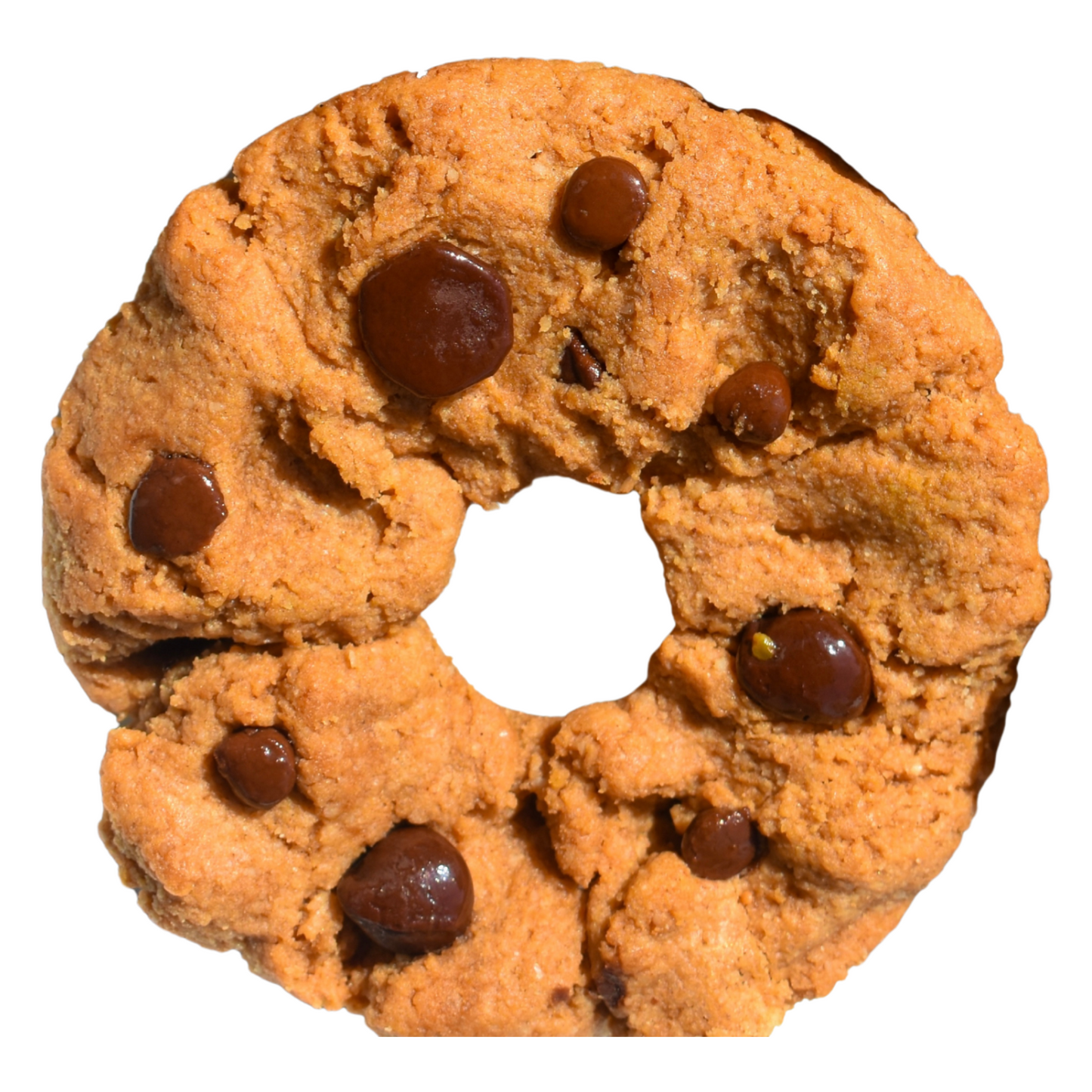 OChippyO