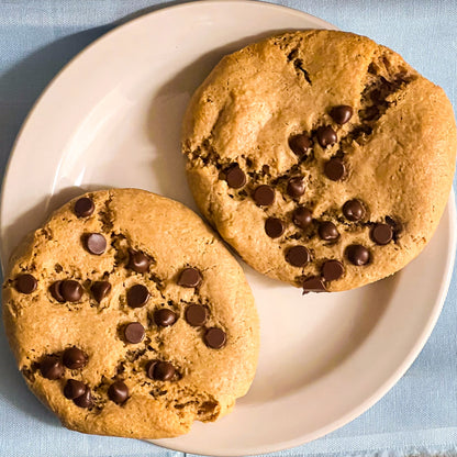Flatties Variety Pack Starts Here:
